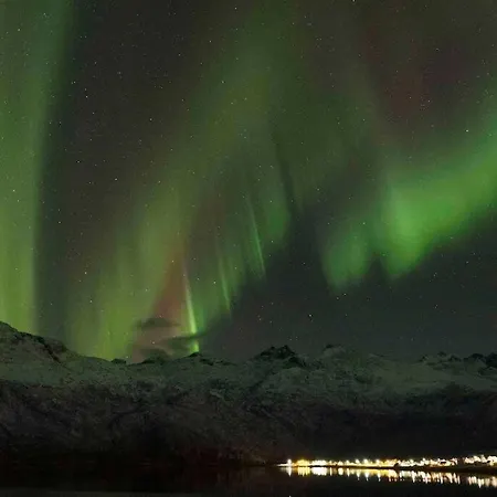 Higravstinden House - Lofoten Tatil Evi