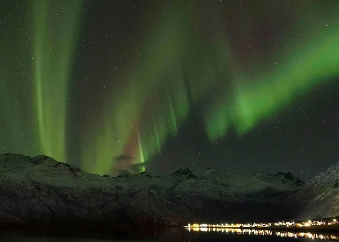 Higravstinden House - Lofoten Tatil Evi